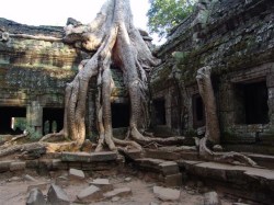 Angkor Wat - Lara Croft